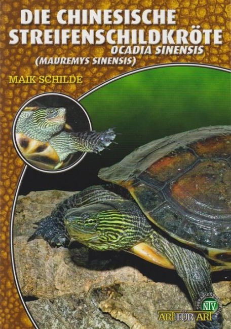 Die Chinesische Streifenschildkröte - Maik Schilde
