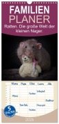 Cover-Bild zum Titel 'Familienplaner 2026 - Ratten. Die große Welt der kleinen Nager mit 5 Spalten (Wandkalender, 21 x 45 cm) CALVENDO' von 'Thorsten Nilson'