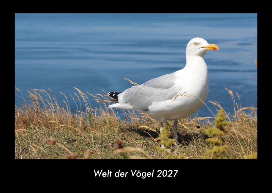 Welt der Vögel 2027 Fotokalender DIN A3 - Tobias Becker