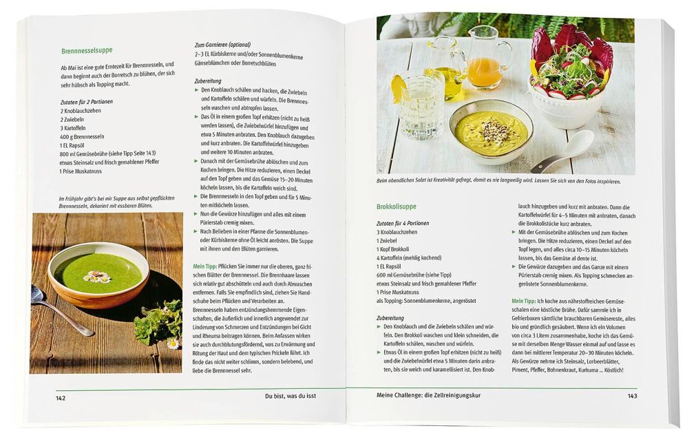 InsideView 4