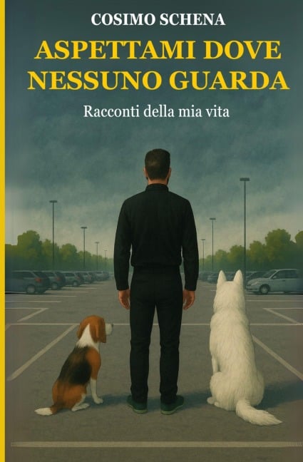 Aspettami dove nessuno guarda - Cosimo Schena