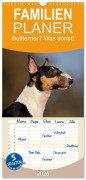 Familienplaner 2026 - Bullterrier? Was sonst! mit 5 Spalten (Wandkalender, 21 x 45 cm) CALVENDO - Yvonne Janetzek