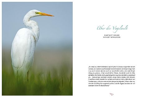 InsideView 16