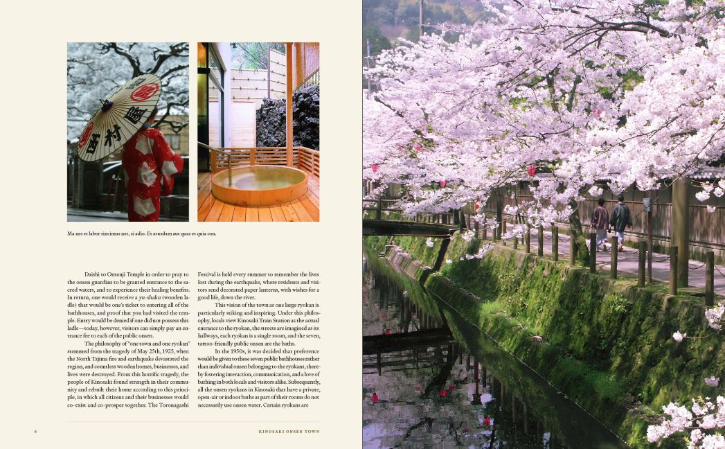 InsideView 4