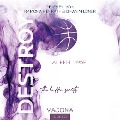 Cover-Bild zum Titel 'DESTROY the hidden secrets (DESTROY-Reihe 1)' von 'Aileen Dawe'