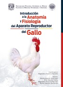 Introducción a la anatomía y fisiología del aparato reproductor del gallo - Magdalena Martínez Escorcia