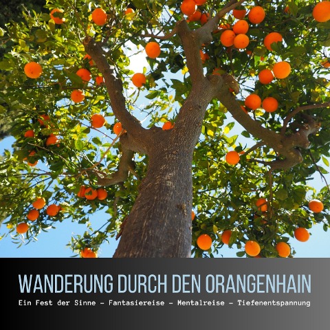Wanderung durch den Orangenhain: Ein Fest der Sinne - Fantasiereise - Mentalreise - Geführte Tiefenentspannung - Gedankenreise - Patrick Lynen