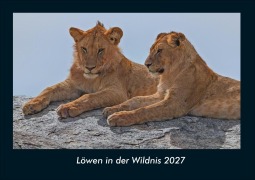 Cover-Bild zum Titel 'Löwen in der Wildnis 2027 Fotokalender DIN A4' von 'Tobias Schmitt, Kevin Heber'