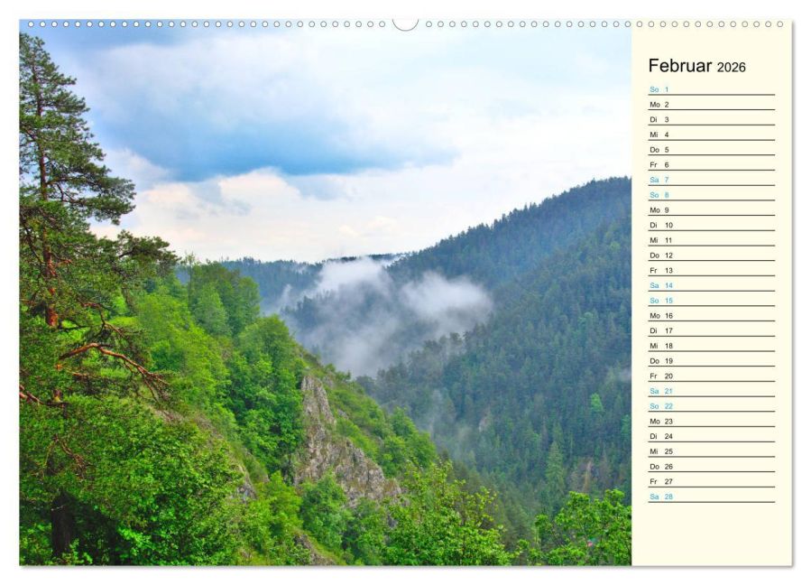 InsideView 6
