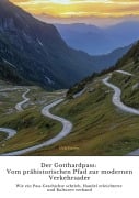 Der Gotthardpass: Vom prähistorischen Pfad zur modernen Verkehrsader - Ueli Forrer