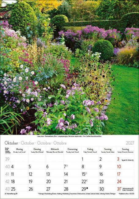 InsideView 10