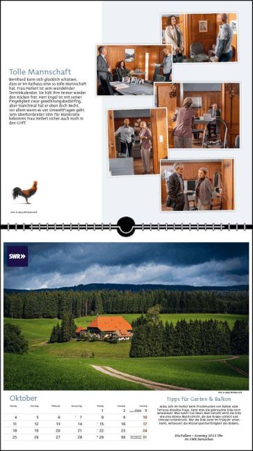 InsideView 10