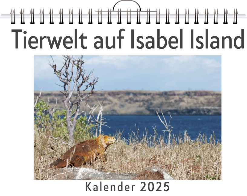 Tierwelt auf Isabel Island - Ella Herrmann