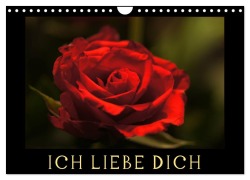 Ich liebe Dich (Wandkalender 2025 DIN A4 quer), CALVENDO Monatskalender - Cathrin Kaden