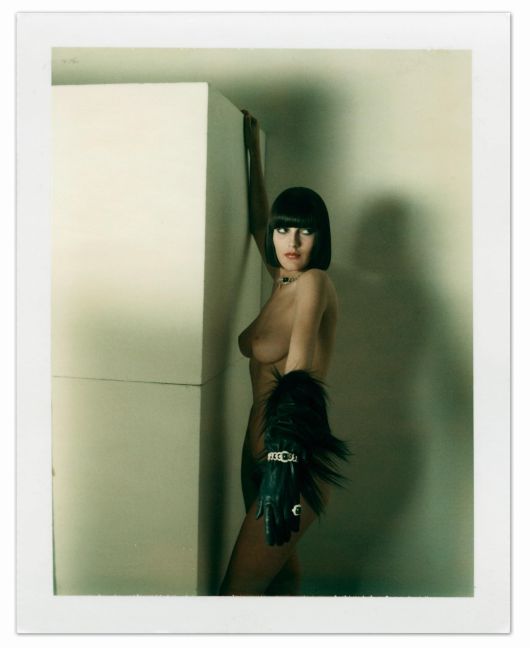 InsideView 7