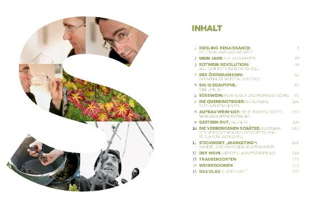 InsideView 2