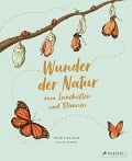 Wunder der Natur zum Innehalten und Staunen - Rachel Williams, Freya Hartas