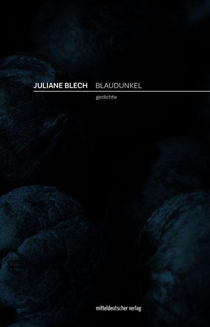Blaudunkel - Juliane Blech
