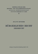 Cover-Bild zum Titel 'Bürgerliches Recht Erbrecht' von 'Julius Binder'