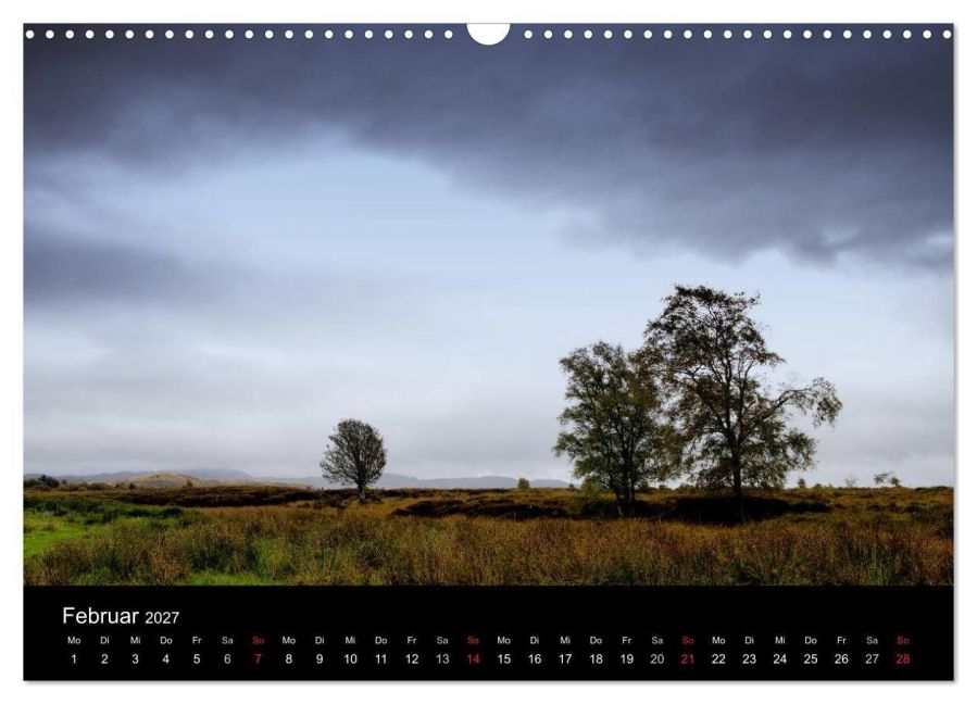 InsideView 7