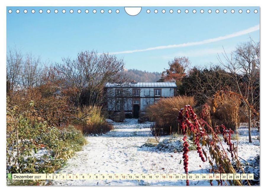 InsideView 4