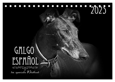 Galgo Español - der spanische Windhund 2025 (Tischkalender 2025 DIN A5 quer), CALVENDO Monatskalender - Pfoten-Design Andrea Redecker