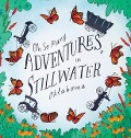 Oh So Many Adventures, In Stillwater Oklahoma - Elizabeth Sampley