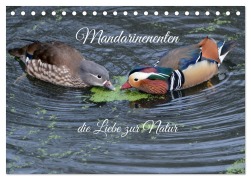 Cover-Bild zum Titel 'Mandarinenenten, die Liebe zur Natur (Tischkalender 2026 DIN A5 quer), CALVENDO Monatskalender' von 'Rufotos Rufotos'