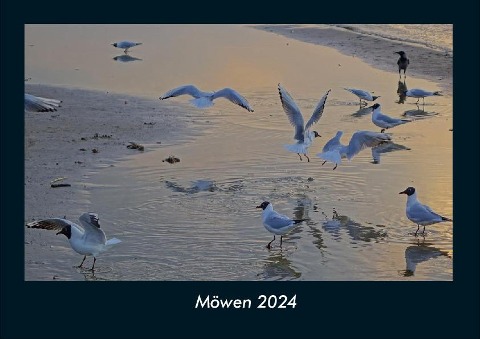 Möwen 2024 Fotokalender DIN A4 - Tobias Becker