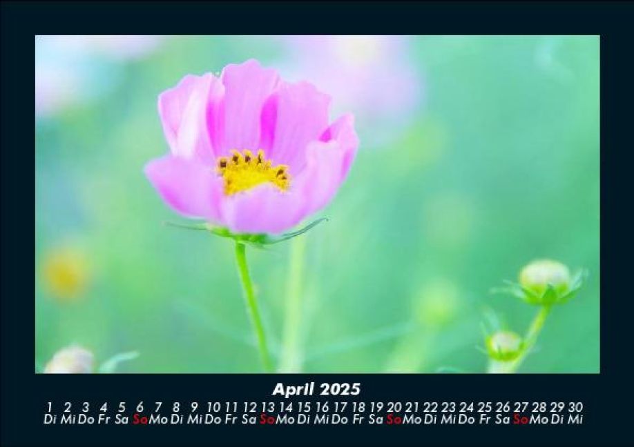 InsideView 8