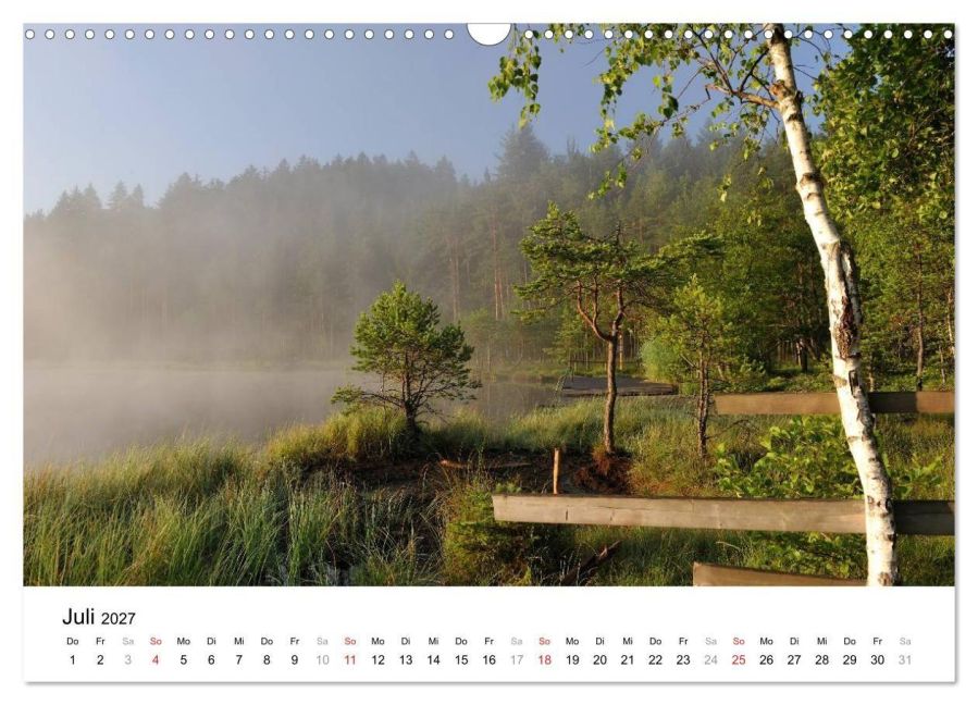 InsideView 12