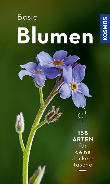 BASIC Blumen - Eva-Maria Dreyer