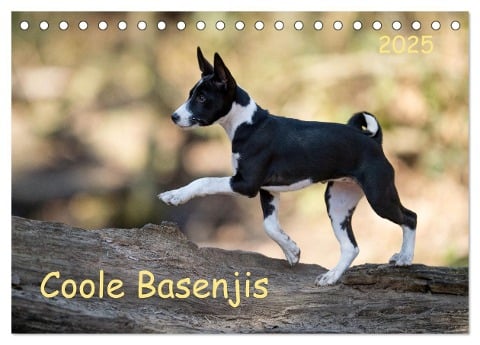 Coole Basenjis (Tischkalender 2025 DIN A5 quer), CALVENDO Monatskalender - Angelika Joswig