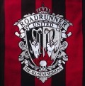 Cover-Bild zum Titel 'The All Star Sessions' von 'Roadrunner United'