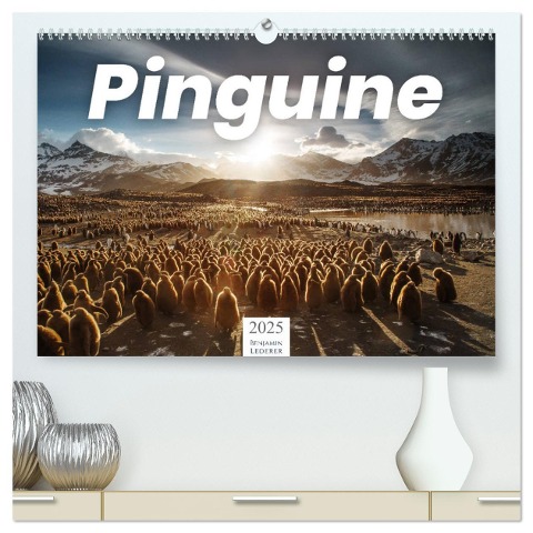 Pinguine - Die sympathischen Frack-Träger (hochwertiger Premium Wandkalender 2025 DIN A2 quer), Kunstdruck in Hochglanz - Benjamin Lederer