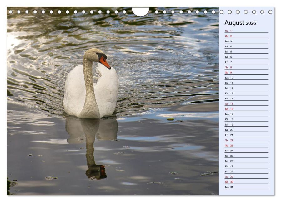 InsideView 13