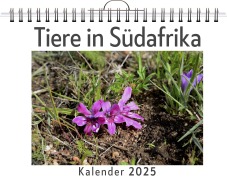 Cover-Bild zum Titel 'Tiere in Südafrika' von 'Nora Schröder'