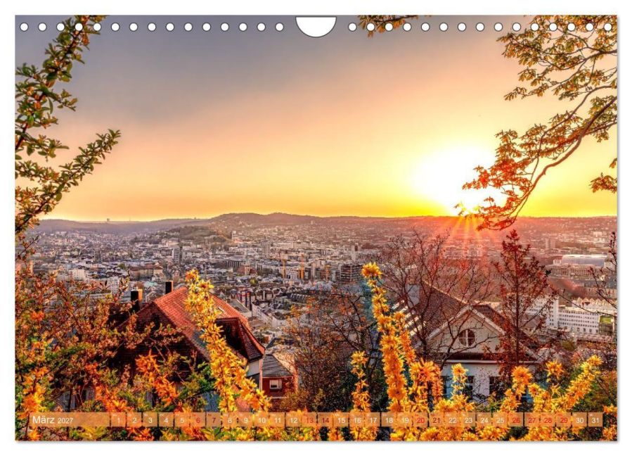 InsideView 8
