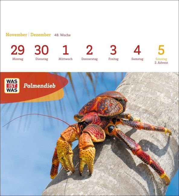 InsideView 11