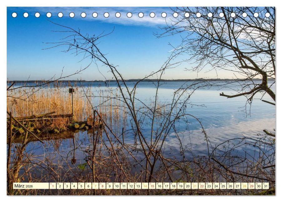 InsideView 8