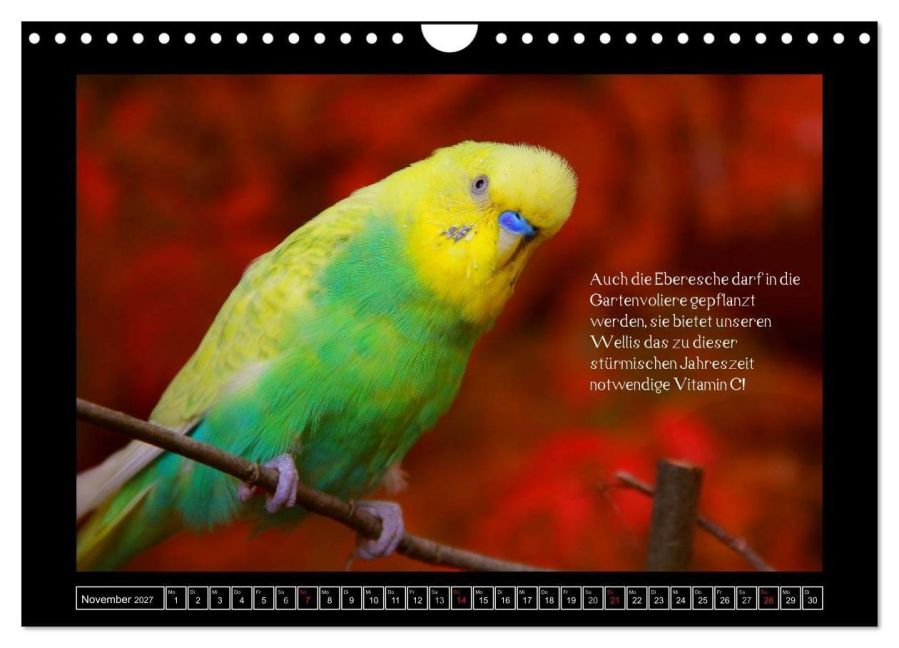 InsideView 3
