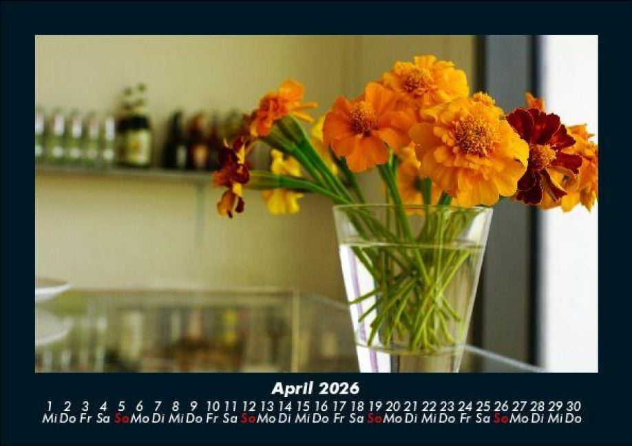 InsideView 8