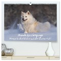 Hundespaziergänge - Momente des Glücks und der Dankbarkeit (hochwertiger Premium Wandkalender 2025 DIN A2 quer), Kunstdruck in Hochglanz - Monika Scheurer