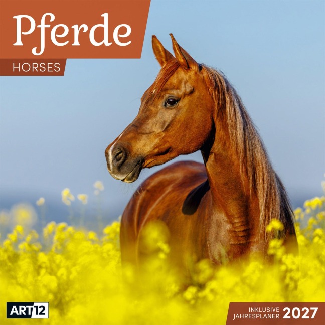 Pferde Kalender 2027 - 30x30 - Art12 - Ackermann Kunstverlag GmbH