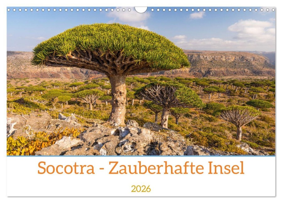 Socotra - Zauberhafte Insel (Wandkalender 2026 DIN A3 quer), CALVENDO Monatskalender - Markus Gubitzer
