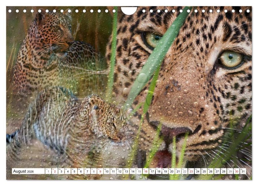 InsideView 13