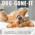 Dog-Gone-It 2025 12 X 12 Wall Calendar - Willow Creek Press