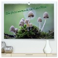 Die faszinierende Welt der Pilze (hochwertiger Premium Wandkalender 2024 DIN A2 quer), Kunstdruck in Hochglanz - Tôn Th¿t Qu¿nh L¿i