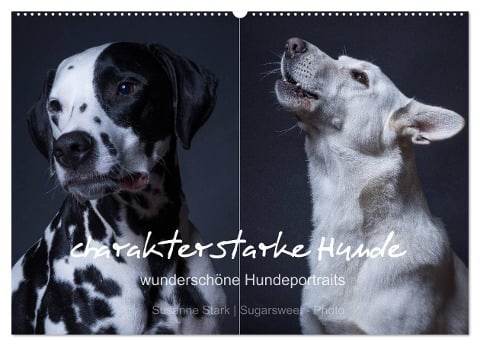 charakterstarke Hunde, wunderschöne Hundeportraits (Wandkalender 2025 DIN A2 quer), CALVENDO Monatskalender - Susanne Stark Sugarsweet - Photo