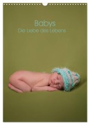 Cover-Bild zum Titel 'Babys - Die Liebe des Lebens (Wandkalender 2026 DIN A3 hoch), CALVENDO Monatskalender' von 'Sascha Drömer Photography'